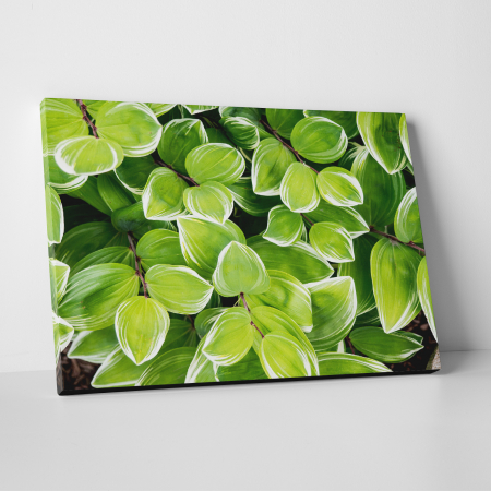 Tablouri canvas Natura - Tablou canvas natura, Frunze... tropicale