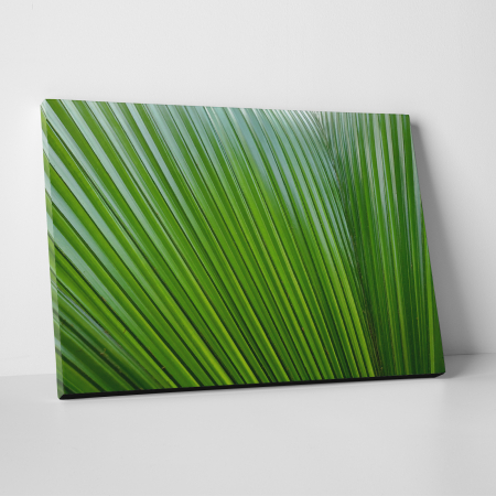 Tablouri canvas Natura - Tablou canvas natura, Frunze verzi... liniare