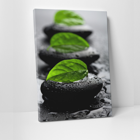 Tablouri canvas Natura - Tablou canvas natura, Green Leafs on Rocks