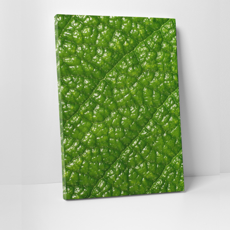 Tablouri canvas Natura - Tablou canvas natura, Green Skin