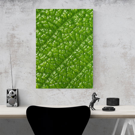 Tablou canvas natura, Green Skin [3]