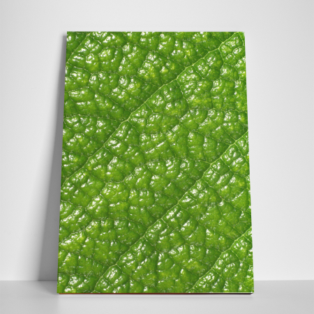 Tablou canvas natura, Green Skin [2]