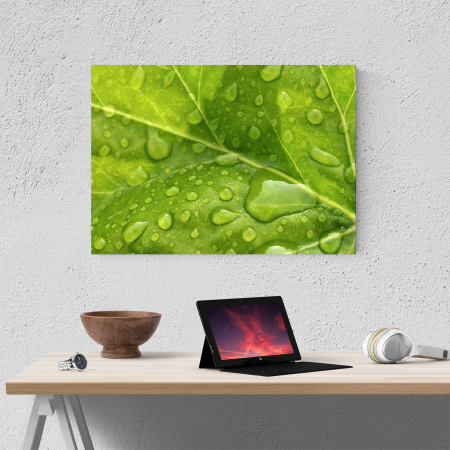 Tablou canvas natura, Leaf Drops [3]