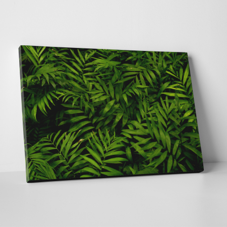 Tablouri canvas Natura - Tablou canvas natura, O multime de frunze