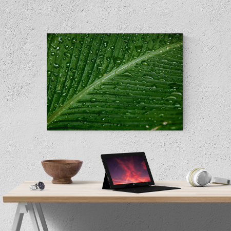 Tablou canvas natura, Picaturi de ploaie se scurg pe o frunza [3]