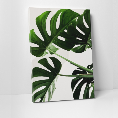 Tablouri canvas Natura - Tablou canvas natura, Planta verde