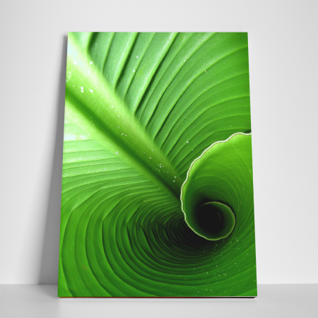 Tablou canvas natura, Swirl Leaf [2]