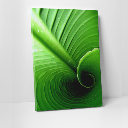 Tablouri canvas Natura - Tablou canvas natura, Swirl Leaf