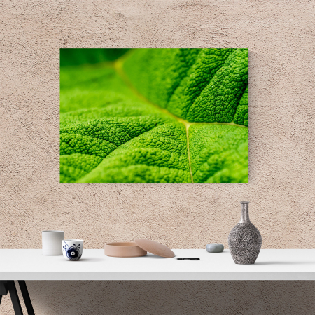 Tablou canvas natura, Textura unei frunze [3]
