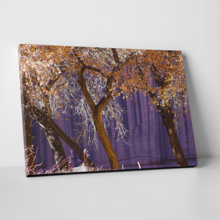 Tablouri canvas Natura - Tablou canvas natura, Violet Autumn