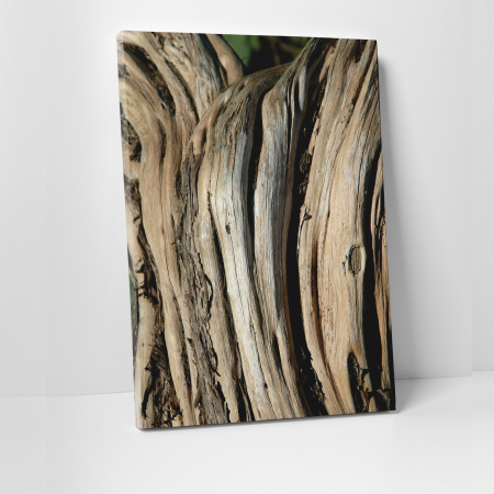 Tablouri canvas Natura - Tablou canvas natura, Wood Surface