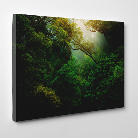 Tablou canvas, peisaj natura, Jungla salbatica [2]