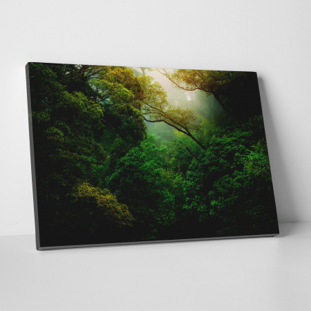 Tablouri canvas Natura - Tablou canvas, peisaj natura, Jungla salbatica