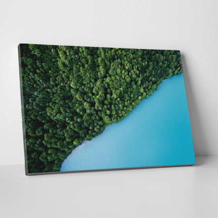 Tablouri canvas Natura - Tablou canvas, peisaj natura, Marea si padurea