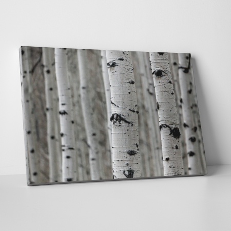 Tablouri - Tablou canvas, peisaj natura, Padure