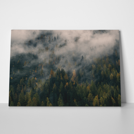 Tablou canvas, peisaj natura, Padure de brazi in ceata [1]