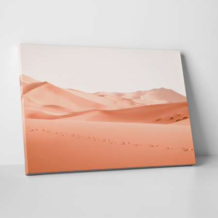 Tablouri - Tablou canvas, peisaj natura, Pasi prin nisipul desertului