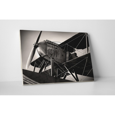 Tablouri canvas Vintage - Tablou canvas retro, Old Plane
