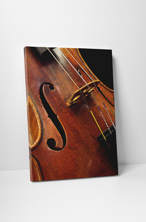 Tablouri canvas Vintage - Tablou canvas retro, Violin