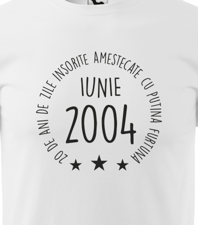 Tricou personalizat 21 ani, Zile INSORITE amestecate cu FURTUNA [1]