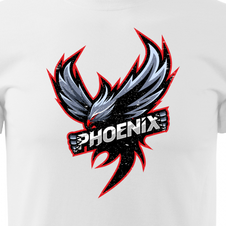 Tricou personalizat pentru gameri, cadoul perfect, Phoenix [1]