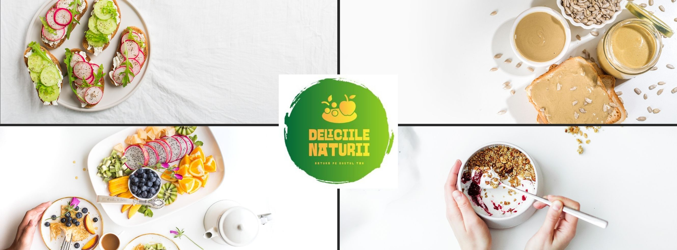 Logo Deliciile Naturii