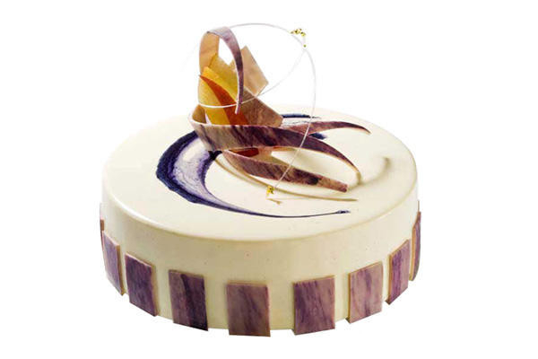 Forma Silicon Tarta / Blat, margine dreapta Ø24xH4.2 cm, cu Inel [2]