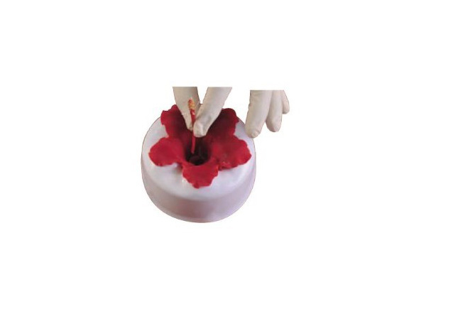 Hibiscus - Suporturi Plastic Formare si Uscare Floare Ø 11.5 x H 5.5 cm, Set 4 Buc [2]