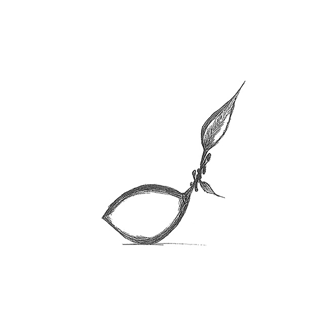 Forma Silicon Monoportii Lamaie / Lime 3D, Ø5.3 x H7 cm, 8 cavitati - Golet [4]