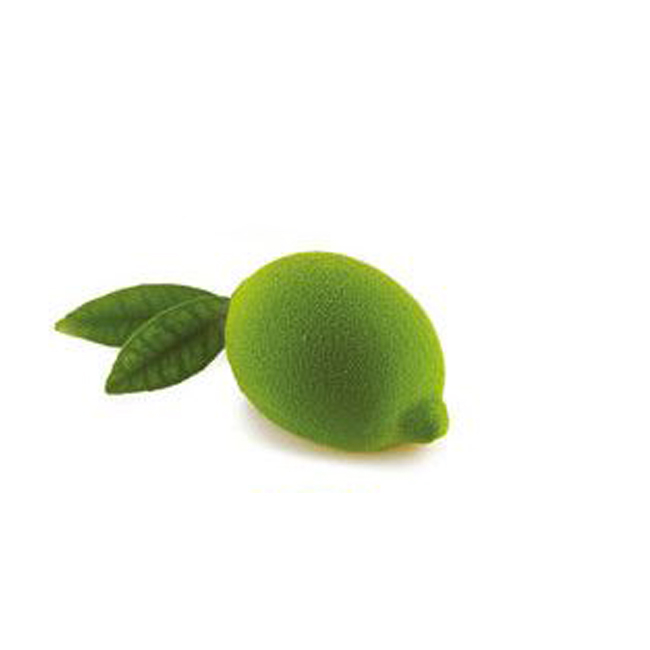 Forma silicon 3D pentru lamaie, 4 cavitati, 120 ml, Limone & Lime 120 Silikomart [7]