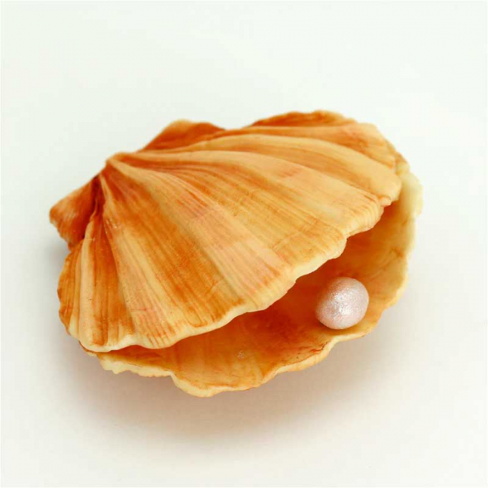Mulaj Silicon Decor Marin - Scoica Ø 11 cm [3]
