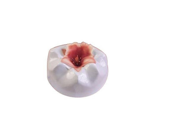 Orhidee Panse - Decupatoare Plastic Ø 5.7 - 9.6 cm, Set 3 Buc [3]