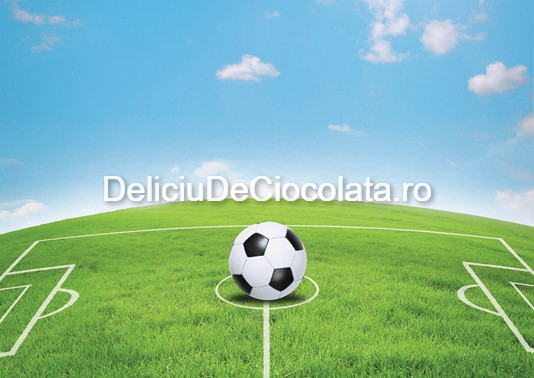 Pasta Zahar imprimata Teren Fotbal Model 1, A4 [1]