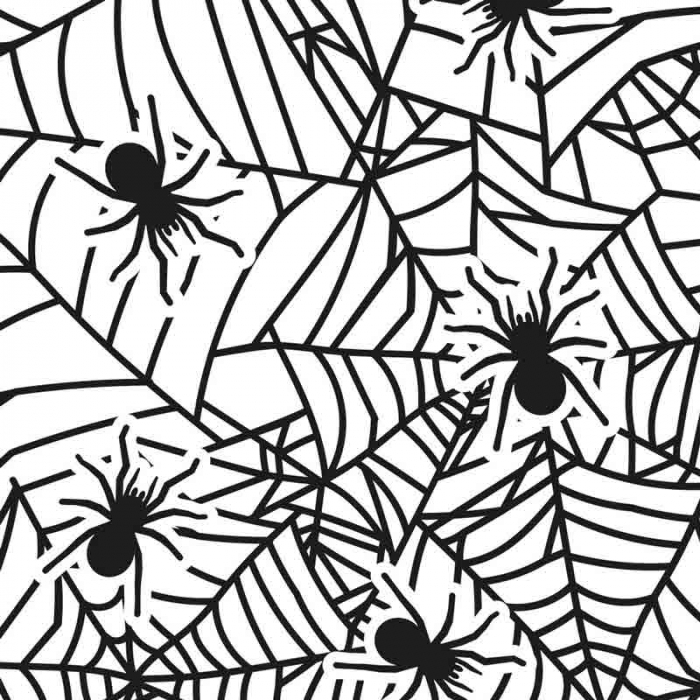 Pungi S cu Baza, Celofan cu Model Spider, 12.5 x 3 x H 24 cm, Set 20 Buc  [2]
