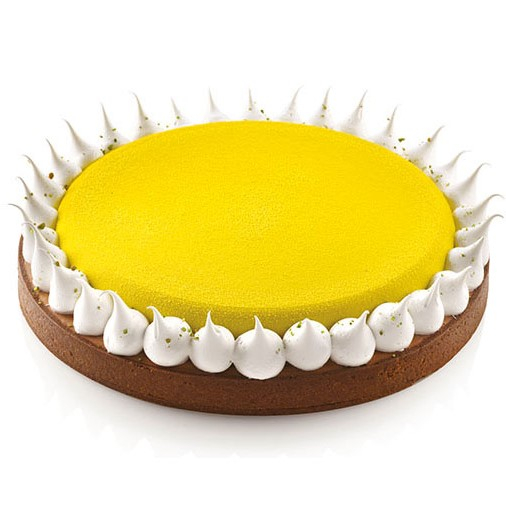 Set Tarte Ø 23 cm, 1 Rama Microforata + Forma Silicon [3]