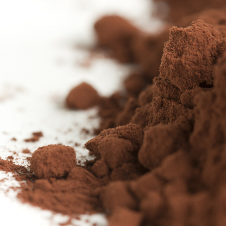 Cacao si Unt de Cacao - Cacao Pudra Alcalinizata 20-22%, 3 kg, Valrhona