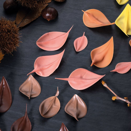 Coloranti Unt de Cacao Liposolubili - Colorant Alimentar Natural cu Unt de Cacao, Maro, 200 g