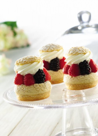 Crema vegetala pentru creme si decor Passionata Puratos [2]