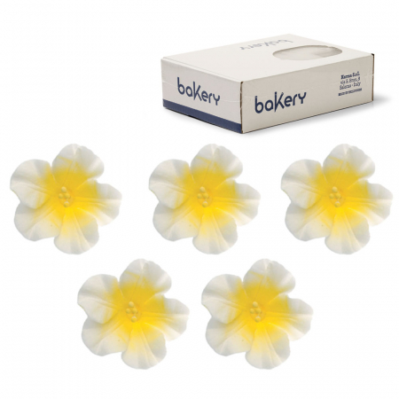 Decoratiuni Comestibile, Decor Tort - Decor Zahar - Azalee Alb-Galben Ø 4 cm, 12 buc
