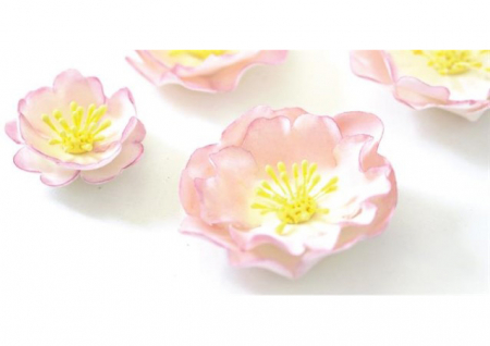 Floare de Maces - Decupatoare Plastic Ø 4 – 8 cm, Set 5 Buc [2]