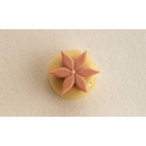 Forme Silicon pentru Decor si Plating - Forma Silicon Decor Top/Insertie, Corollas Floral Ø 4.5 x H 0.6 cm, 15 cavitati, 4 ml