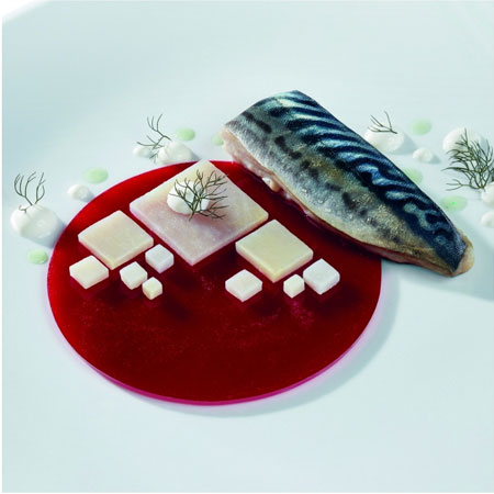 Forme Silicon pentru Decor si Plating - Forma Silicon Gourmand Disc mare Ø 11 x H 0.35 cm, 6 cavitati