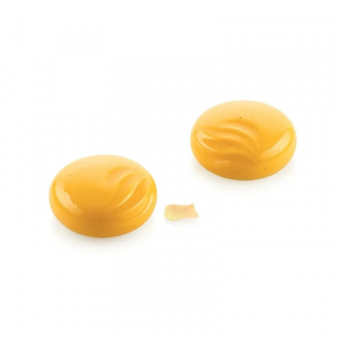 Oferta Cantitate - Forma Silicon Ocean 100 Ø 7 x H 3 cm, 6 cavitati x 100 ml