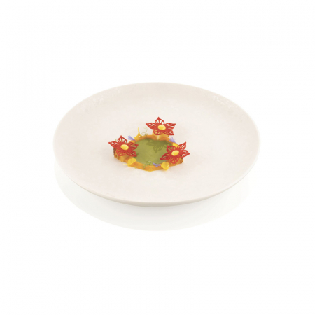 Forme Silicon pentru Decor si Plating - Forma Silicon Silikomart NaturaE Botanica Ø 8.4 - 4.6 x H 0.2 cm, 9+25 cavitati