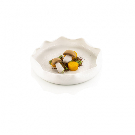 Forme Silicon pentru Decor si Plating - Forma Silicon Silikomart NaturaE Ciupercuta 5.9 x 3.6 x H 1.8 cm, 20 ml, 16 cavitati