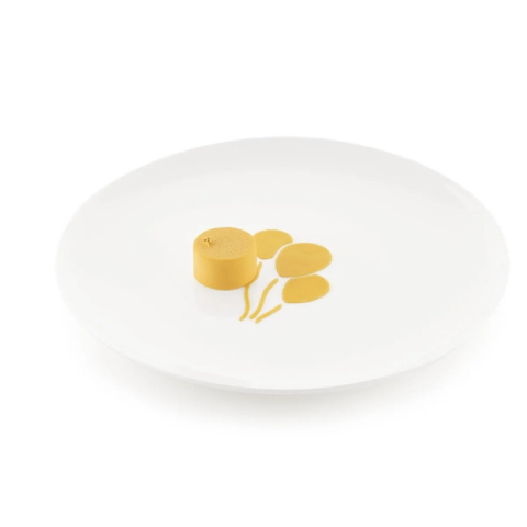 Forme Silicon pentru Decor si Plating - Forma Silicon Silikomart NaturaE Decor Balon 16 x 16 x H 0.1 cm, Set 2 buc