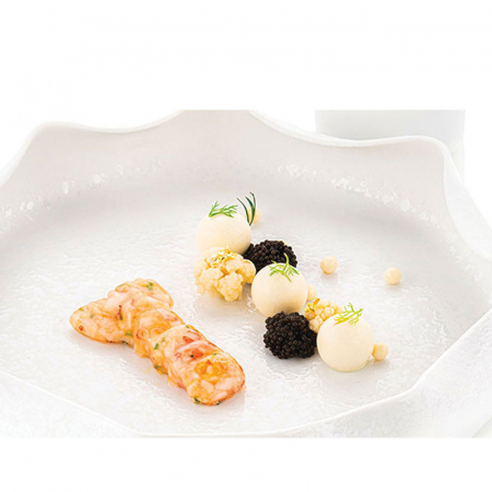 Forme Silicon pentru Decor si Plating - Forma Silicon Silikomart NaturaE Homar 8.1 x 4.2 x H 1.45 cm, 20 ml, 12 cavitati
