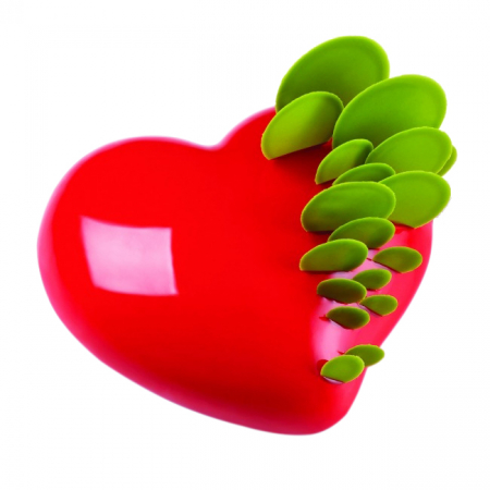 Forme Moderne Tort - Forma Silicon Tort Inima 3D Passion Ø17.5xH5.8 cm