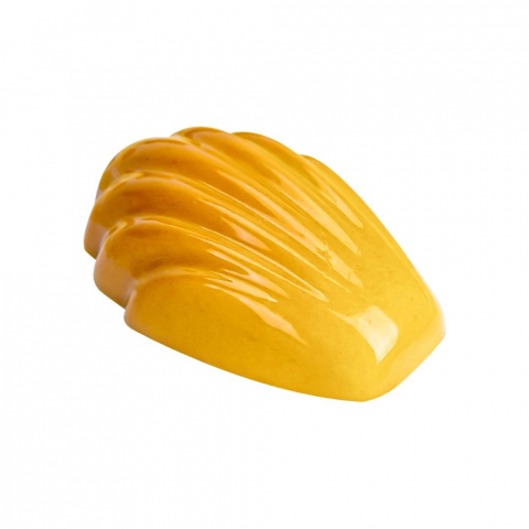Matrite Praline Ciocolata - Matrita Policarbonat 20 Praline Madeleine, 4.3 x 2.7 x H 1.45 cm, 9.8 gr