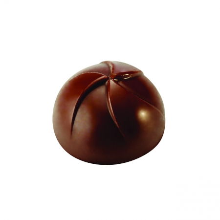 Matrite Praline Ciocolata - Matrita Policarbonat Gama Innovation 21 Praline Ciocolata, Ø 3 x H 1,8 cm, 10 g